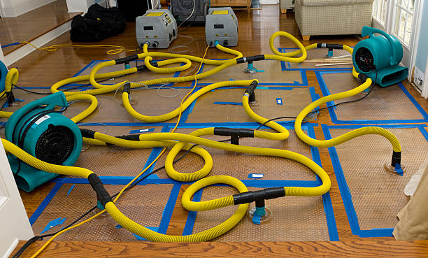 Professional Burst Pipe Water Damage technician working in Mission Hills, CA
